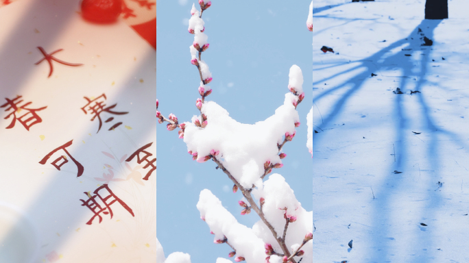 大寒 节气 竖版