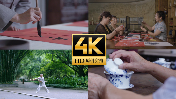 老年人健康幸福生活 打拳武术健身书法喝茶