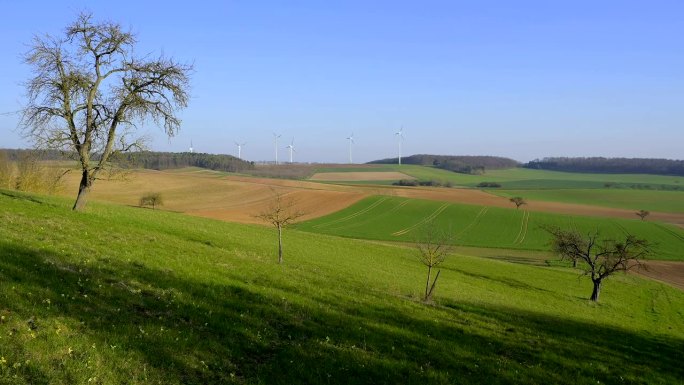 Landscape in spring, Höhefeld, Wertheim, Baden-Wür