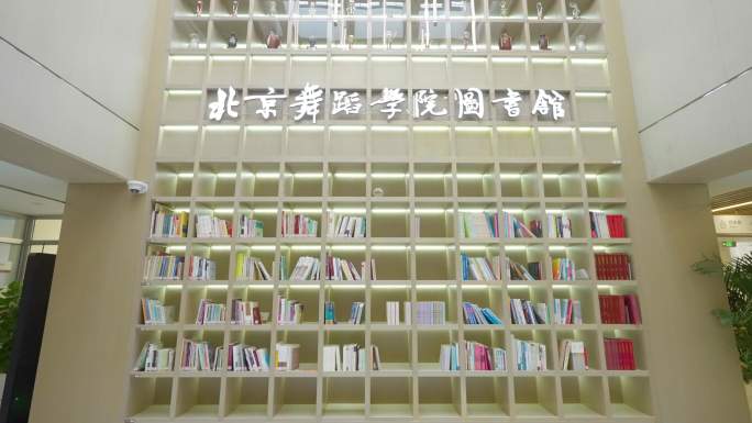 北京舞蹈学院图书馆北舞舞蹈史理论考研资料