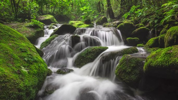 Sangdong Moss Valley / yeongwal -gun，江原道，韩国