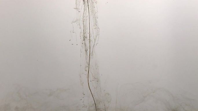 液体:颜料滴，黑色墨水水和油的慢动作