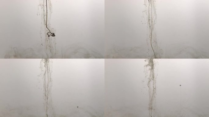 液体:颜料滴，黑色墨水水和油的慢动作