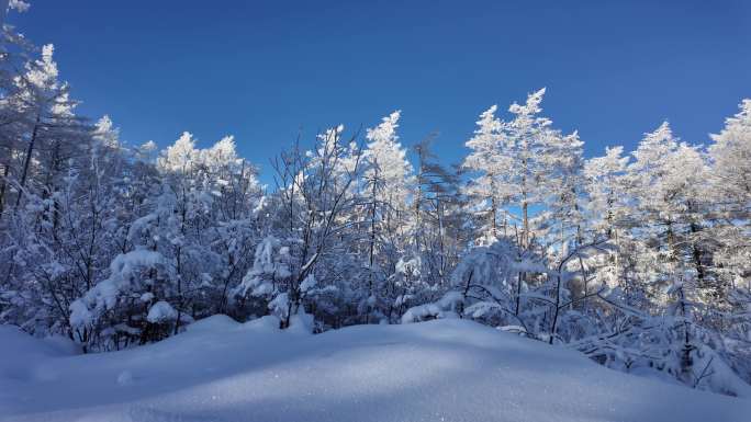 极寒时节雪原森林雾凇美景合集