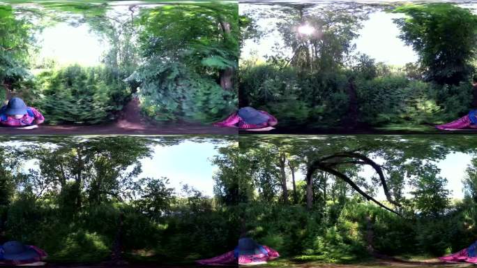 河岸冲积森林，VR, VR360, 360VR