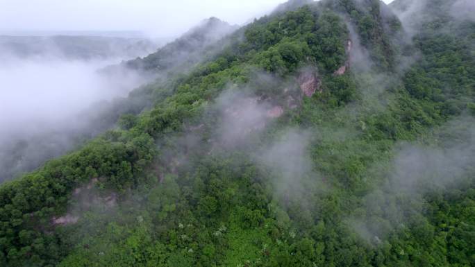 大山深处烟雨朦胧