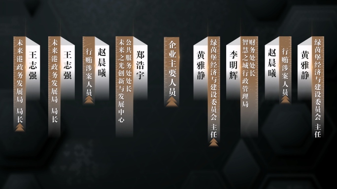 4K 反腐人名条字幕