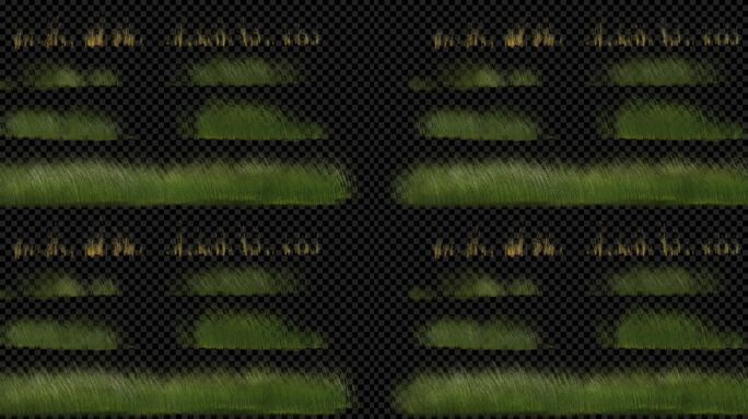 6组_动态草地 草丛