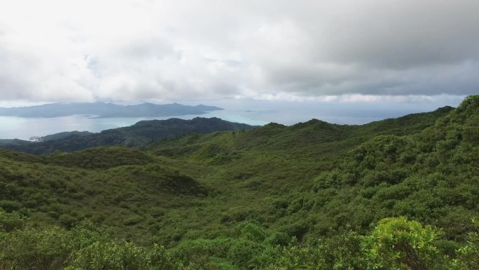 山上覆盖着植被和海景