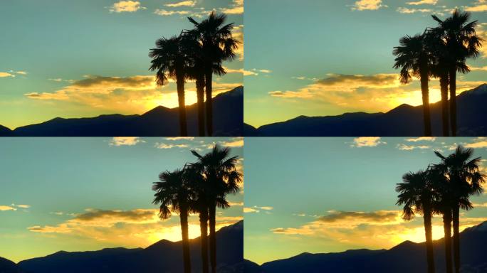 棕榈树和日落山