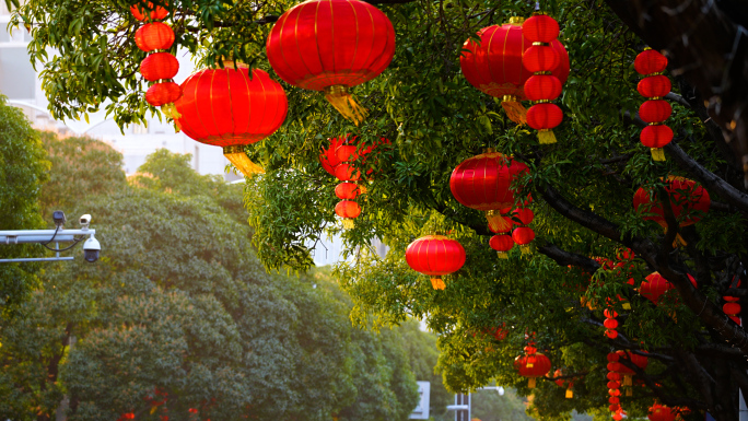 厦门2025年城市街头灯笼过年春节氛围