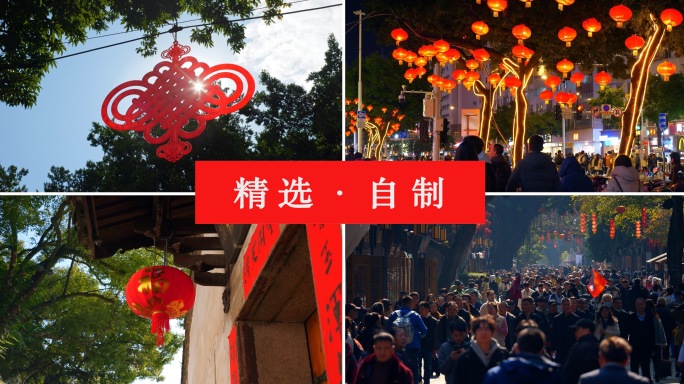 过年春节蛇年新年氛围