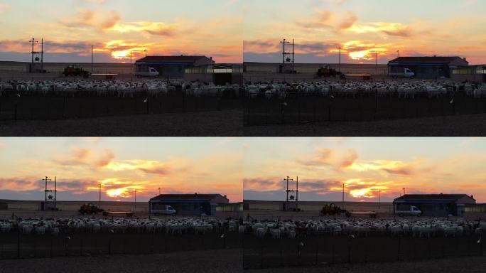 草原牧民家日落风光