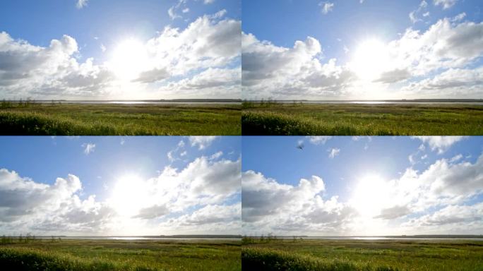 环礁湖区域(Bodden)在秋季,Zingst Fischland-Darß-Zingst Meck