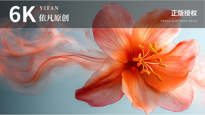 6K唯美花朵花开全息舞美艺术舞台背景