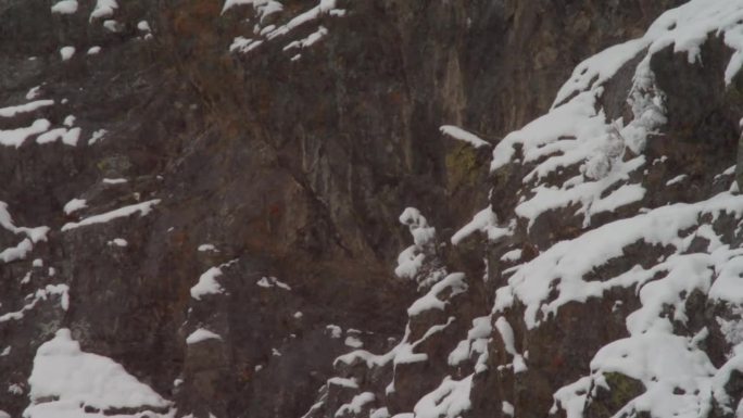 雪花在山崖上飘落。