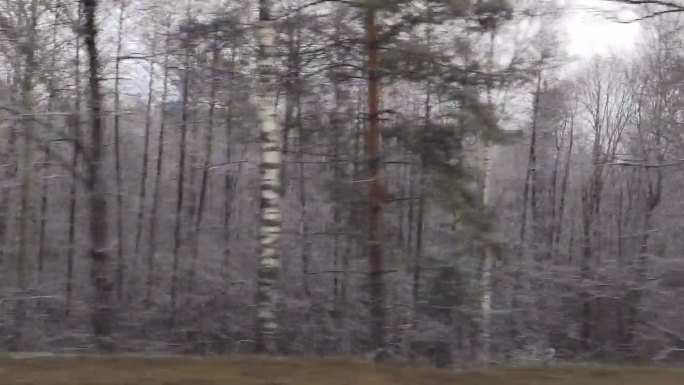 沿着冬季道路穿过雪中的树木，雾气弥漫的景观。