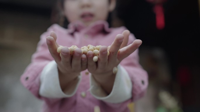 豆子大豆从手中掉落