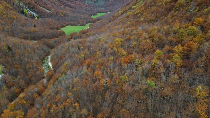 黑山北部的普罗克列季耶国家公园秋季景色。金色树叶的森林和无尽的绿色山野 - 航拍视角。格雷巴耶山谷 