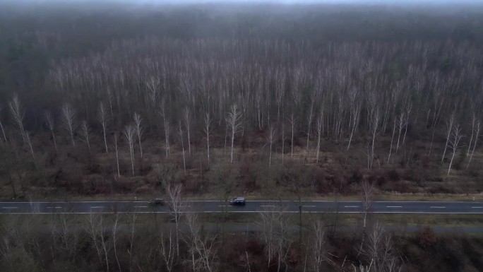 雾气弥漫的森林附近的道路，阴暗而富有情绪的氛围。魔幻的航拍无人机视角。