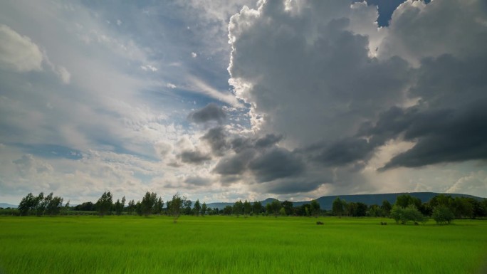 乌云笼罩着郁郁葱葱的绿野，预示着暴风雨的来临，零星的阳光透过云层洒下。