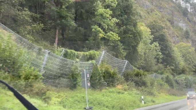 在雨天，驾驶穿过一条林荫大道，雨刷模糊，迎面驶来一辆车。