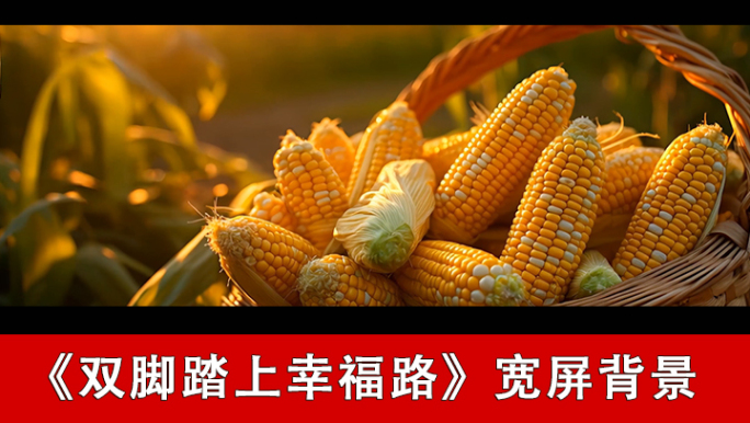 双脚踏上幸福路-配乐背景
