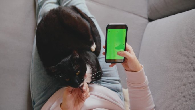 放松的女人在使用智能手机，猫咪蜷缩在她的腿上。