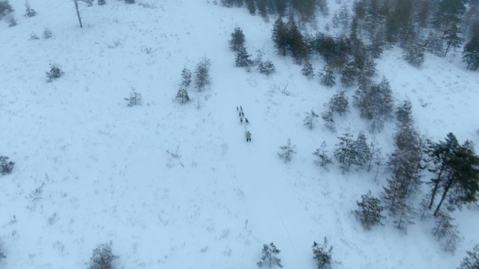 从直升机视角，一队狗在雪原上奔跑。美丽的冬季风景，哈士奇犬在雪道上拉着雪橇奔跑。4K，ProRes