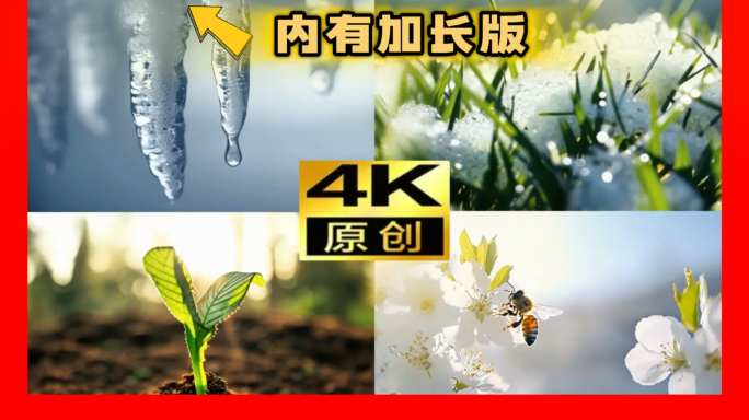 立春节气立春视频春天春分节气春天春暖花开