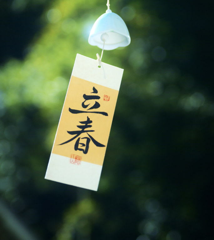 【原创立春竖版】春天花开鸟叫航拍风景视频