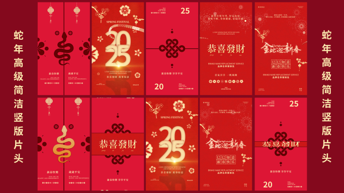 2025蛇年高级简洁竖版片头