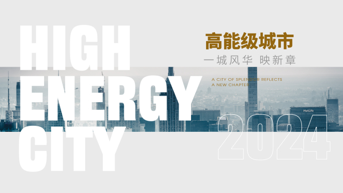 年终汇报总结 白金简明排版快闪