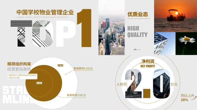 年终汇报总结 白金简明排版快闪