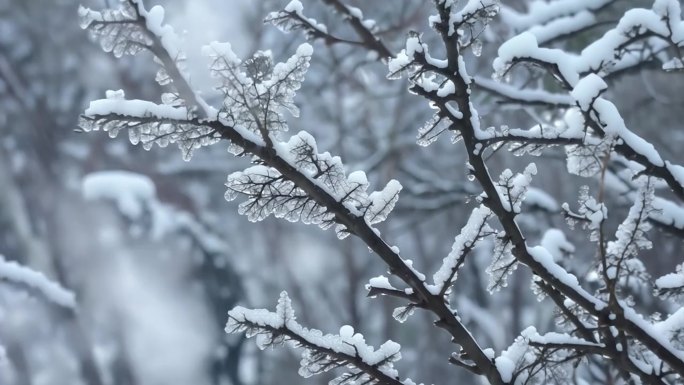 暴风雪呼啸的雪地