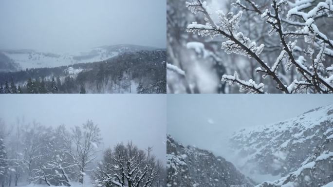 暴风雪呼啸的雪地