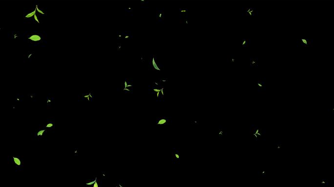 绿叶飘落茶叶飘落带通道