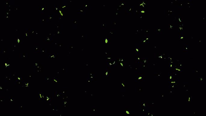 绿叶飘落茶叶飘落带通道