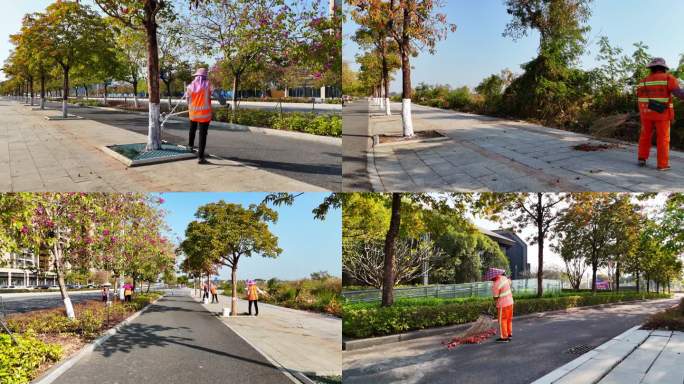 环卫工人 清扫落叶 创文明城市