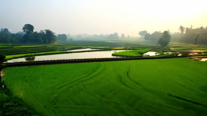 田野间行驶的老式火车(1)