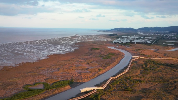福州闽江河口湿地公园（傍晚黄昏）