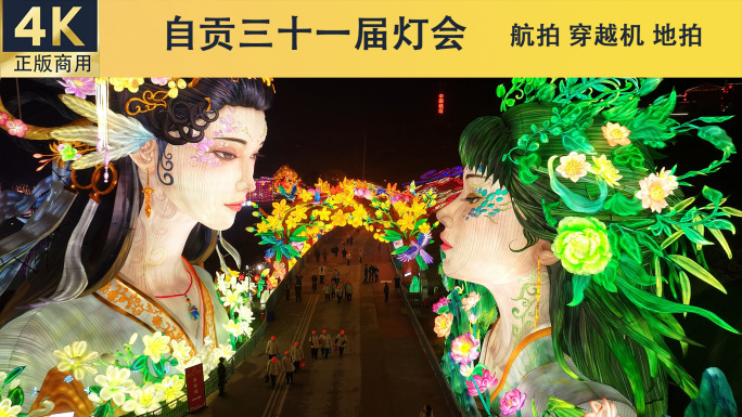 2025年自贡三十一届恐龙灯会宣传合集