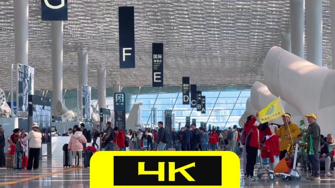 2025春运回家过年机场航空航班