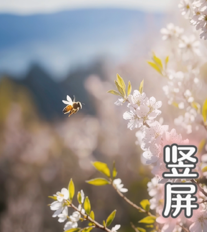 春竖版立春竖屏立春节气春天竖拍春分节气