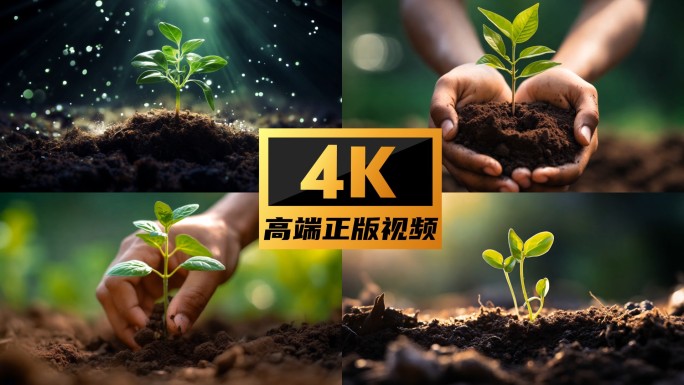 保护环境 公益 手捧植物视频