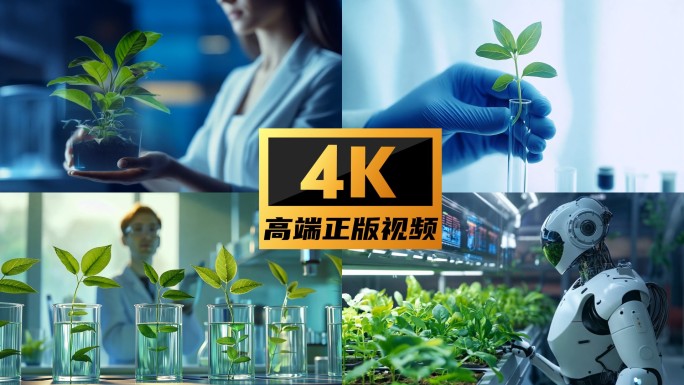 乡村振兴 现代农业 农业科技视频