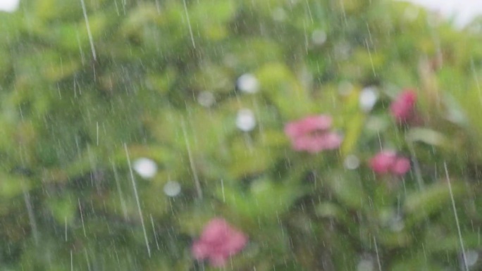 4K 家中大雨倾盆。