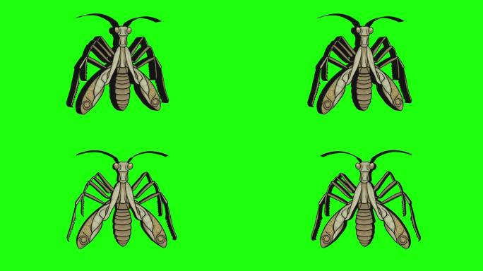 绿幕3D蚂蚱图标