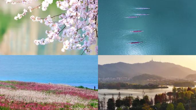 2024最新长沙四季节气美景合集