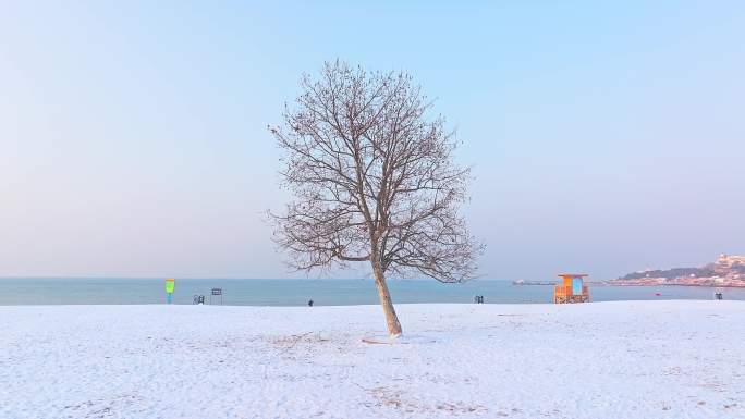 雪后青岛海边航拍